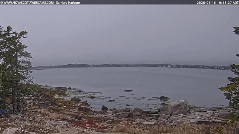 Sambro Harbour