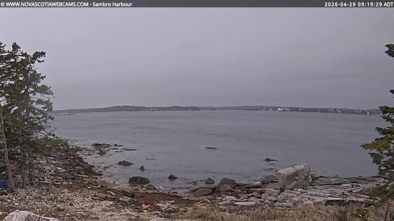 Sambro Harbour