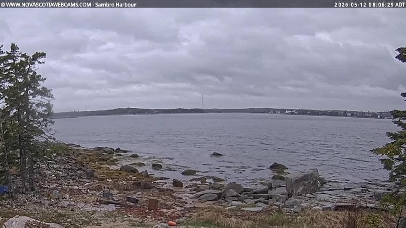 Sambro Harbour