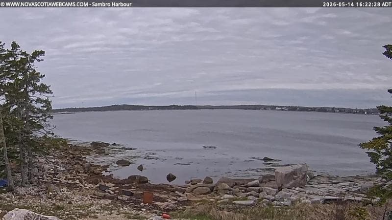 Sambro Harbour