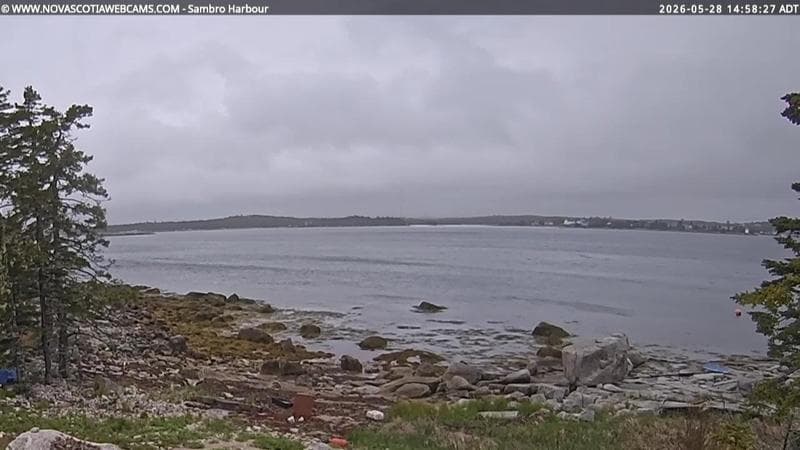 Sambro Harbour