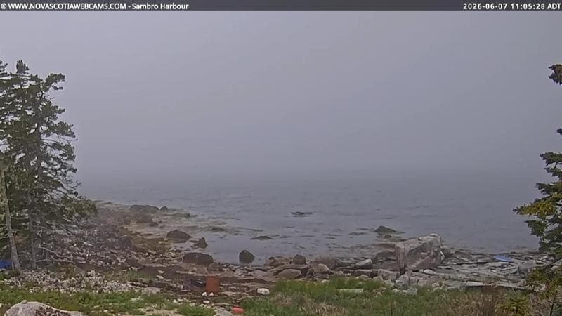 Sambro Harbour