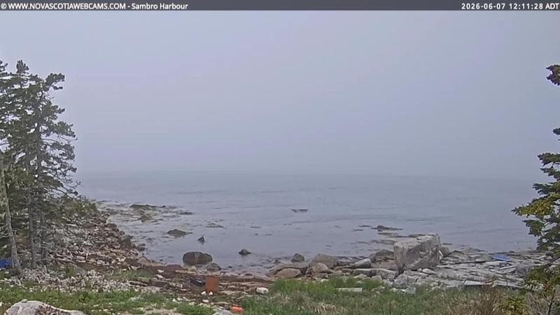 Sambro Harbour