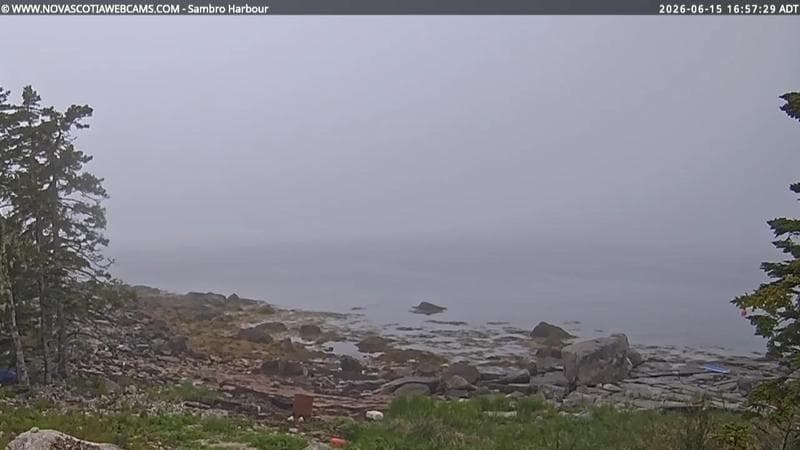 Sambro Harbour