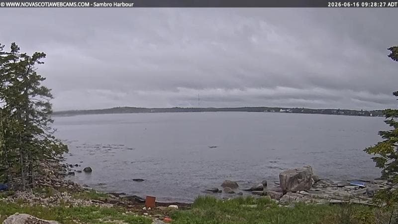 Sambro Harbour