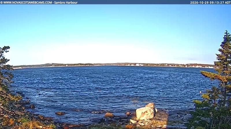 Sambro Harbour