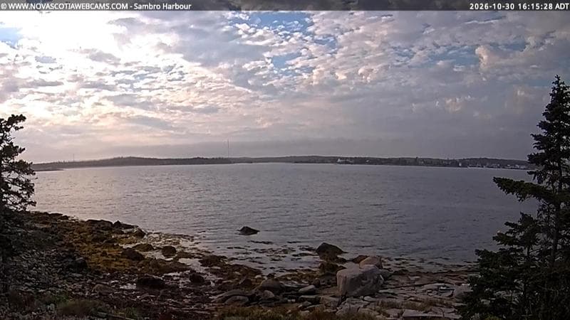 Sambro Harbour