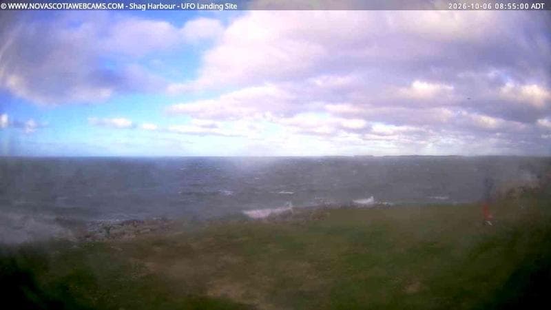Shag Harbour