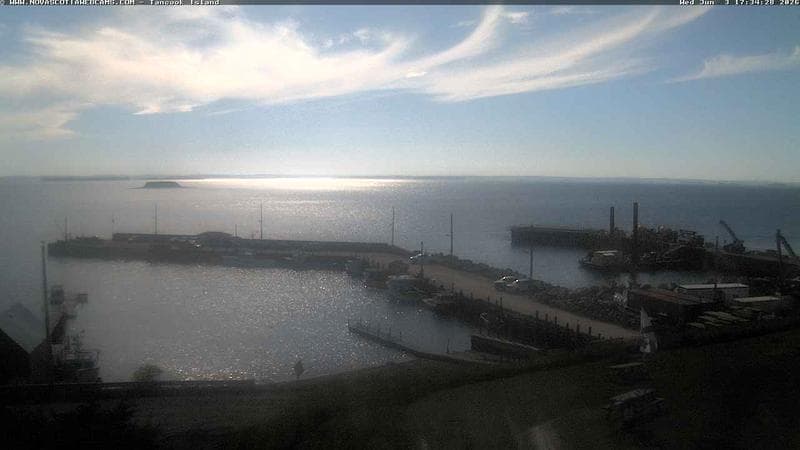Tancook Island Wharf