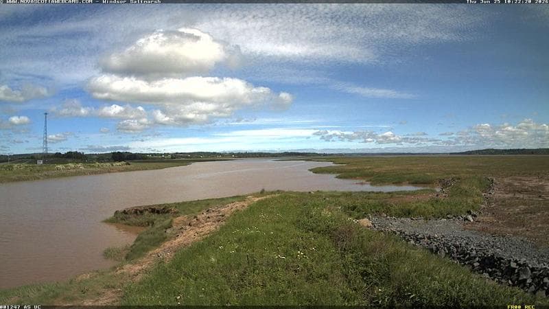 Windsor Salt Marsh