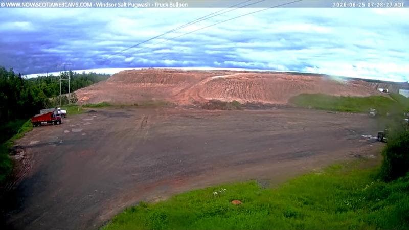 Windsor Salt