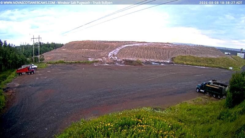 Windsor Salt