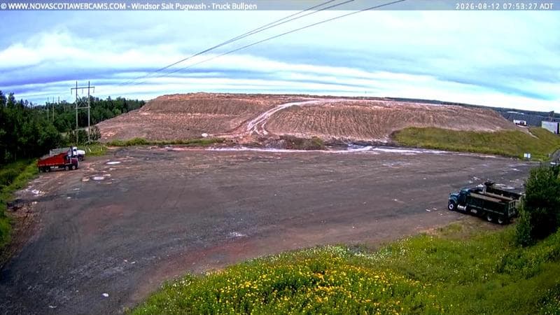Windsor Salt