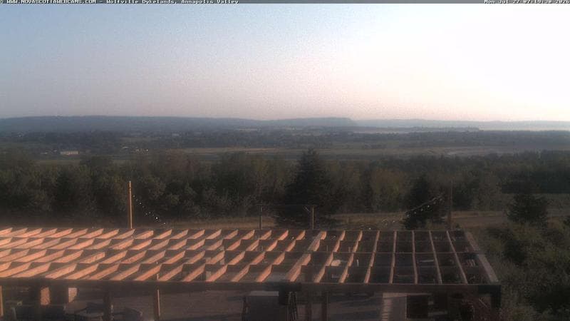 Wolfville Dykes