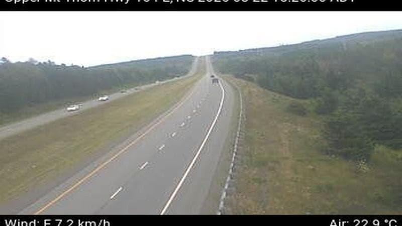 Upper Mount Thom - Highway 104 E
