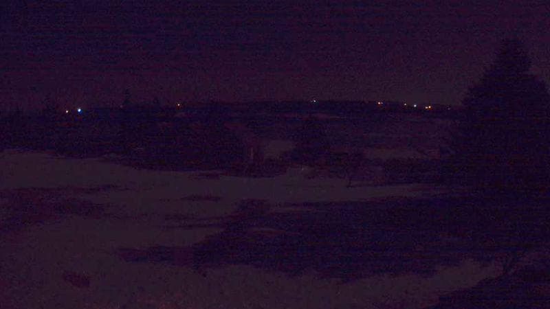 Historic Acadian Village