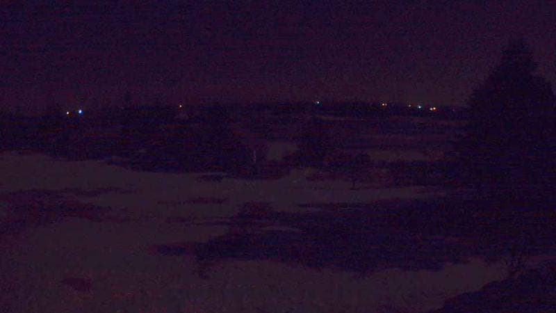 Historic Acadian Village