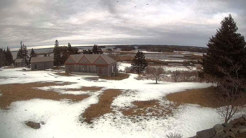Historic Acadian Village
