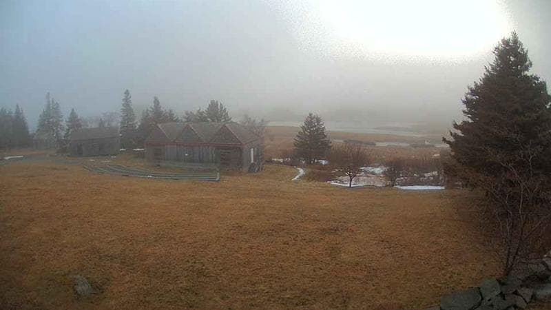 Historic Acadian Village