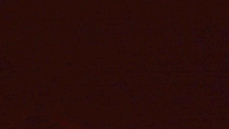 Historic Acadian Village