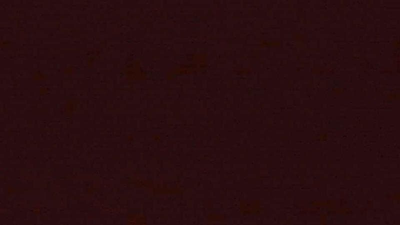 Historic Acadian Village