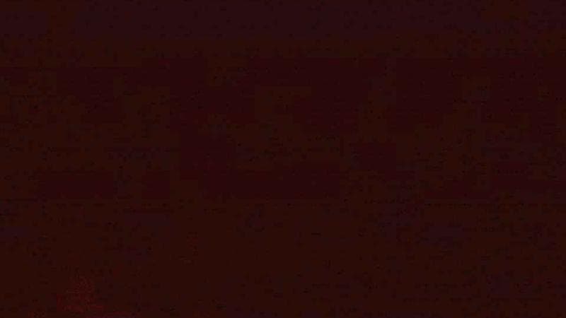 Historic Acadian Village