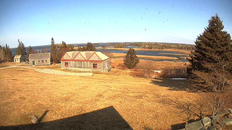 Historic Acadian Village