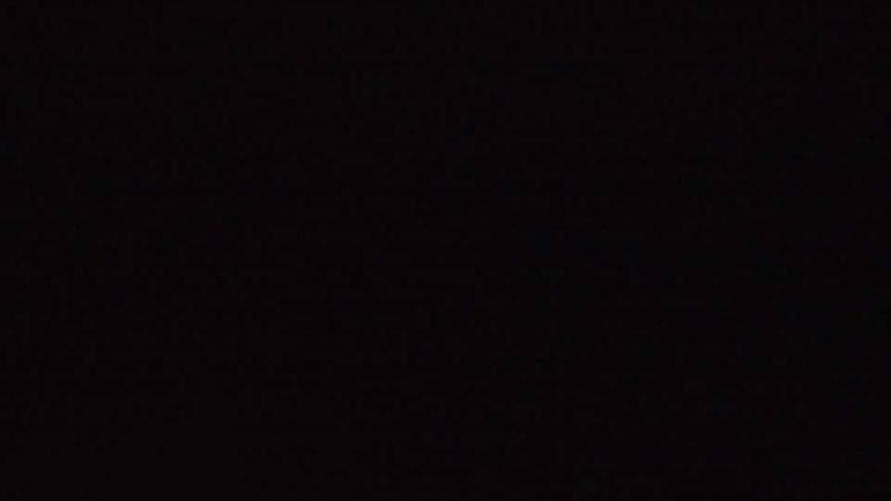 Historic Acadian Village