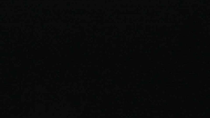 Historic Acadian Village