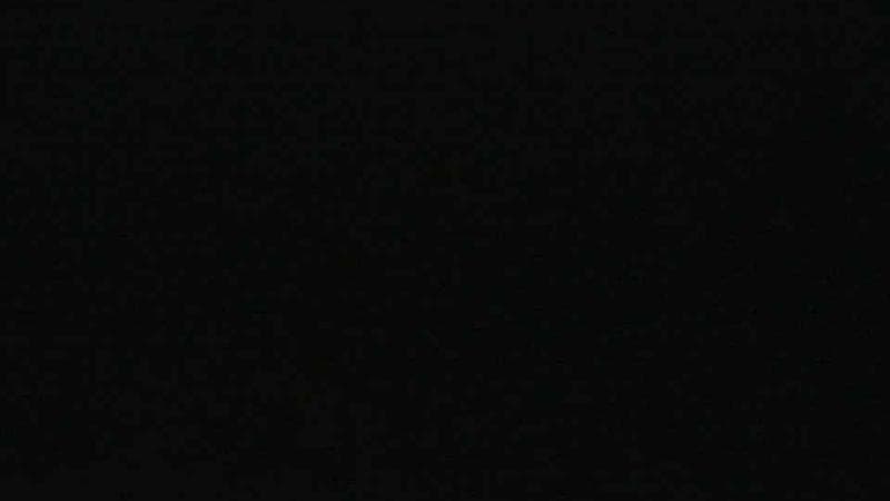 Historic Acadian Village