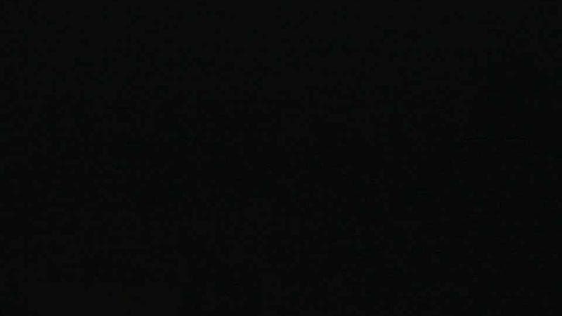 Historic Acadian Village