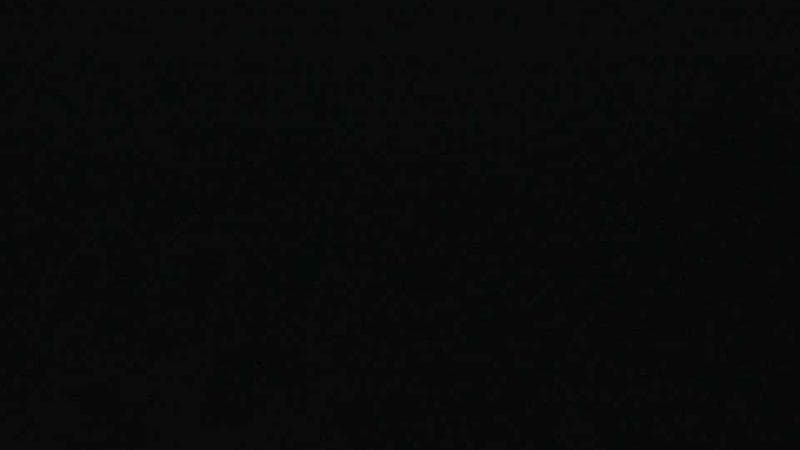 Historic Acadian Village