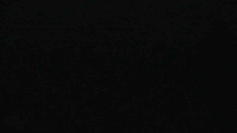 Historic Acadian Village