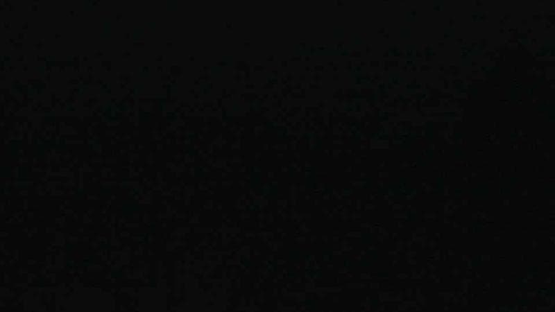 Historic Acadian Village