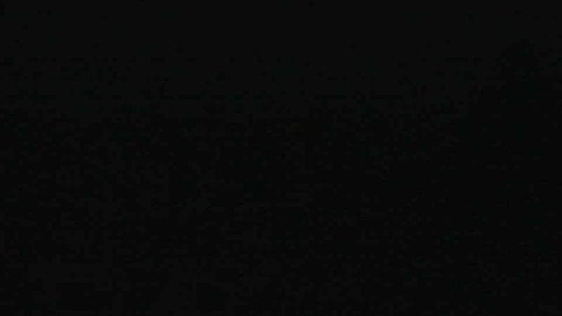 Historic Acadian Village