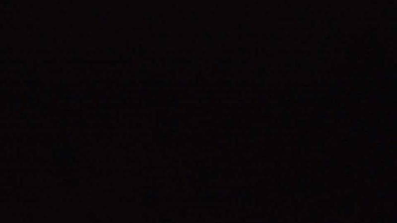 Historic Acadian Village