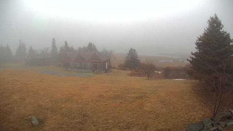 Historic Acadian Village