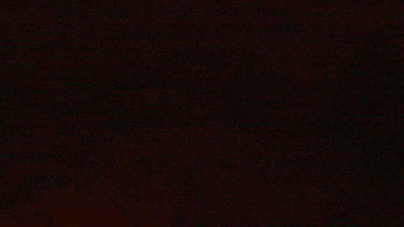 Historic Acadian Village