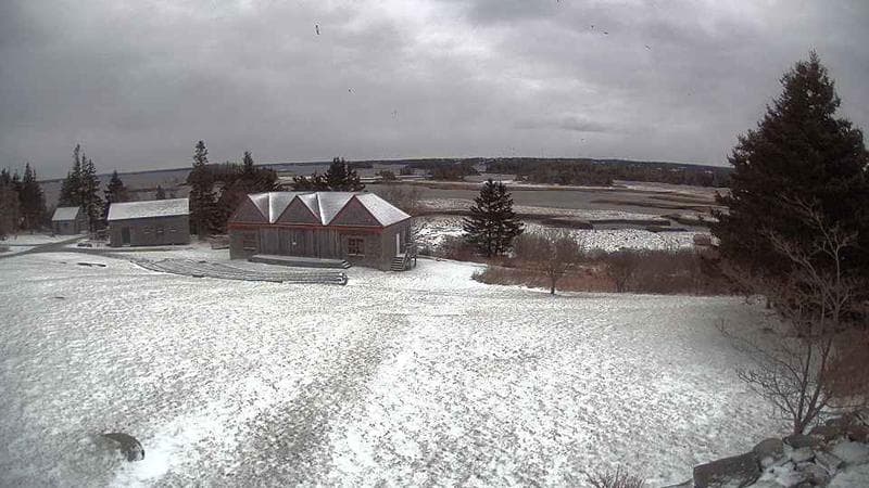 Historic Acadian Village