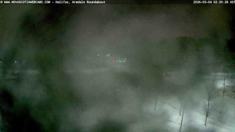 Armdale Roundabout 1