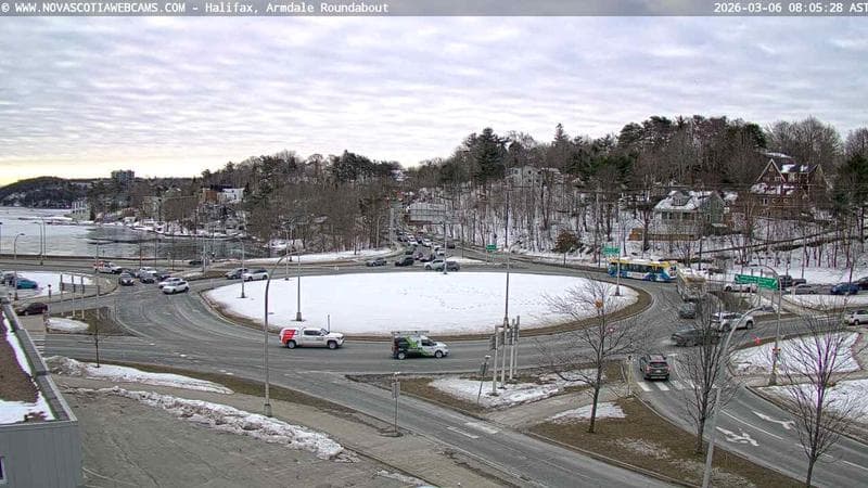 Armdale Roundabout 1