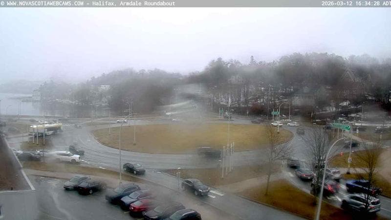 Armdale Roundabout 1