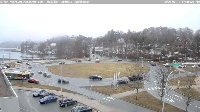 Armdale Roundabout 1
