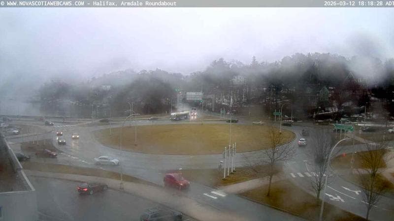 Armdale Roundabout 1