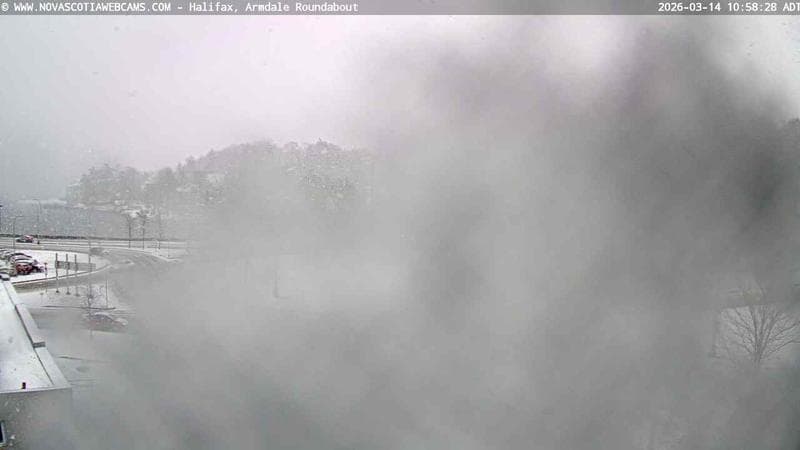 Armdale Roundabout 1