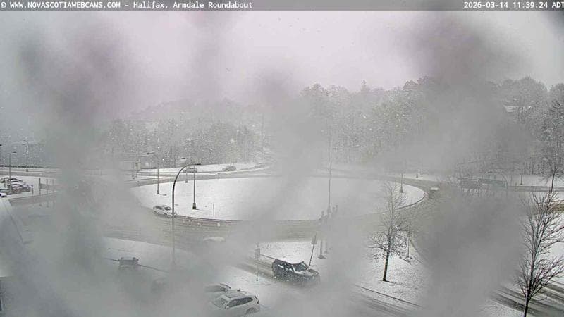 Armdale Roundabout 1