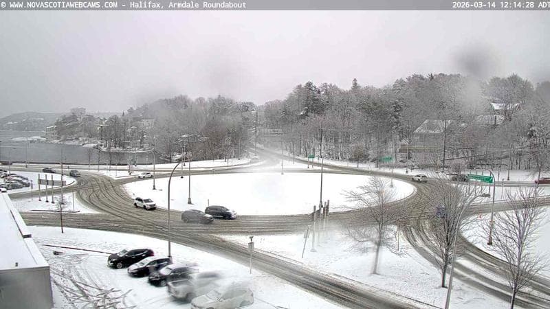 Armdale Roundabout 1