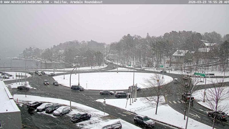 Armdale Roundabout 1