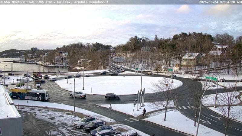 Armdale Roundabout 1