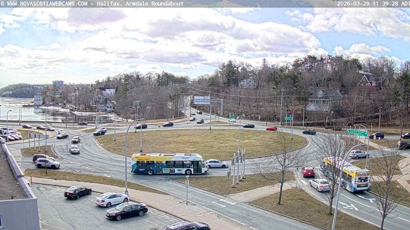 Armdale Roundabout 1